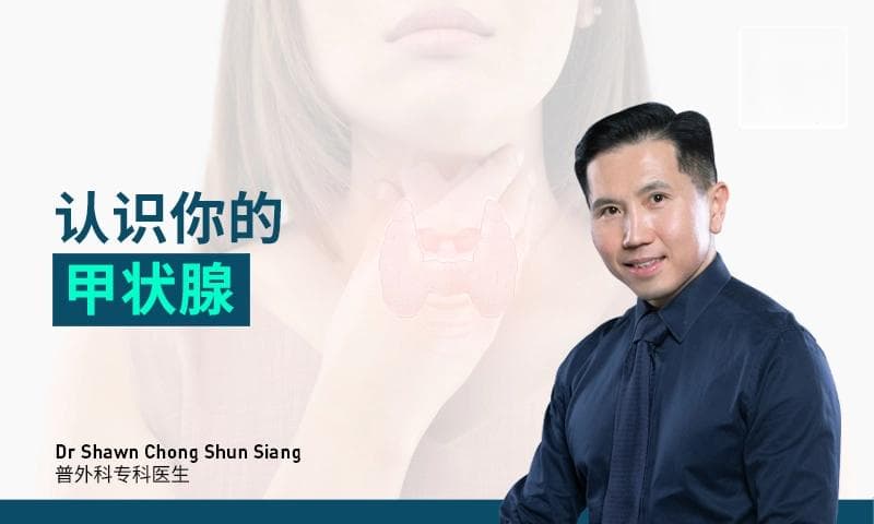 甲状腺功能全解析：从新陈代谢到生殖健康的调控者