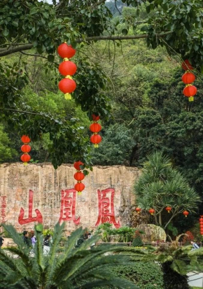 深圳春节打卡攻略：免费景点与展览全攻略