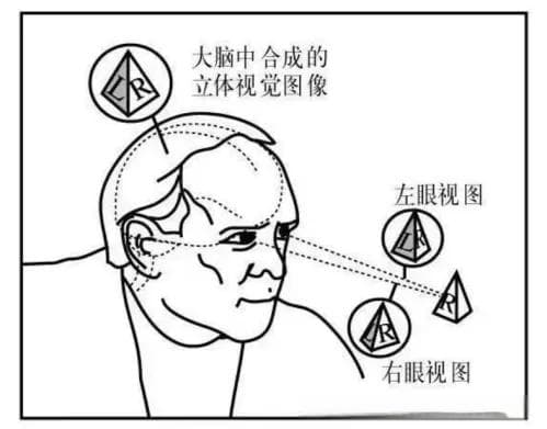 裸眼3D技术：如何实现无需设备的立体视觉体验？