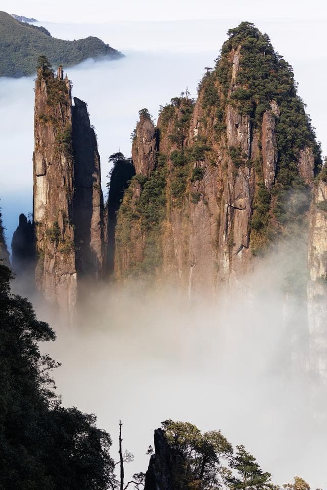 从猴王寨到五指峰：湖南莽山冬季旅游全攻略