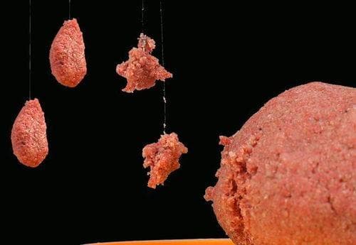 养鱼必读：如何正确喂食冰冻红虫，让鱼儿更健康！