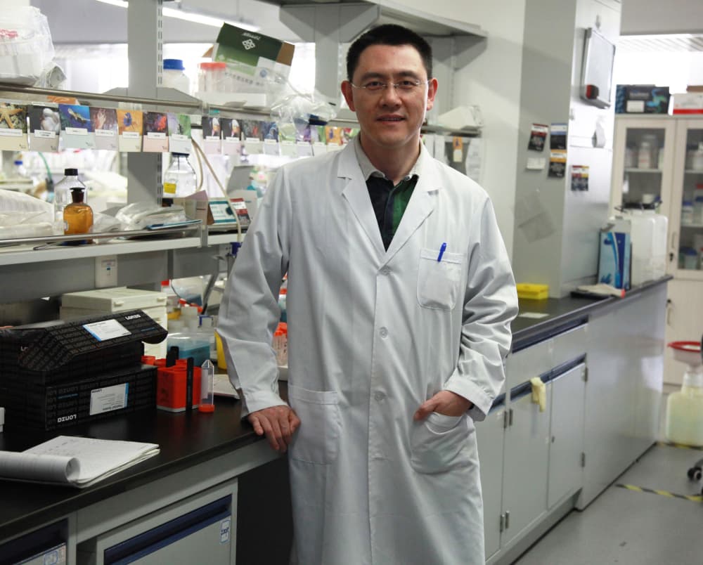 科学时光机 | 揭开人类发育进化的奥秘——我国科学家首次破解基因“编程语言”之谜