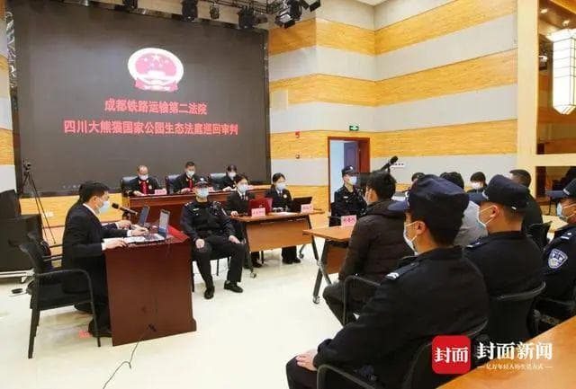 雅安三人电鱼7条罚款1000元，犯非法捕捞水产品罪受罚