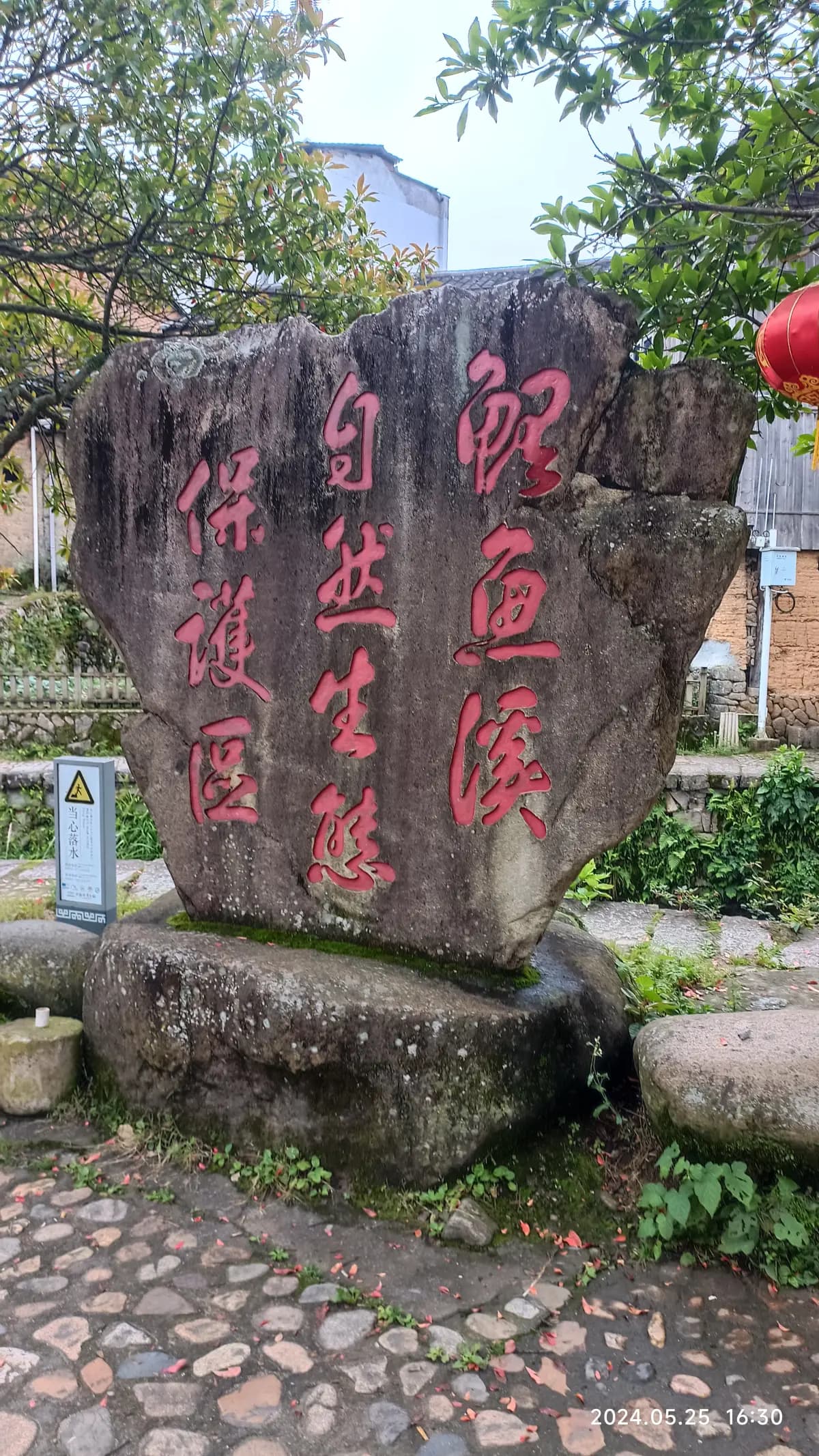 福建周宁鲤鱼溪：人鱼和谐共生的自然奇观