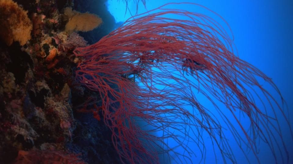 中国大陆最南端的玻璃海，藏着一片色彩斑斓……