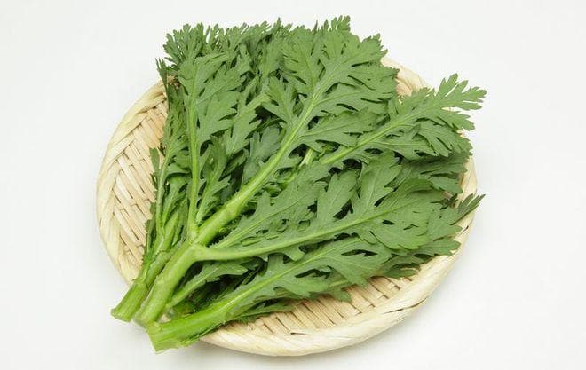 菊花菜和茼蒿的区别，别吃错了！