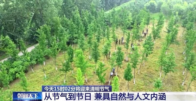 从节气到节日 这些关于清明的知识你了解吗？