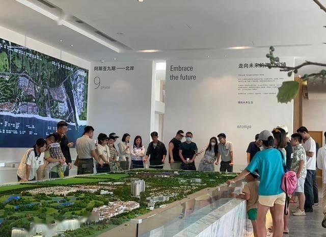 2025年购房指南：遵循“买旧买大避三坑”，打造理想家园