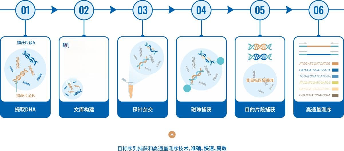 贝叶斯推断在生物信息学中的应用：基因表达分析与疾病诊断