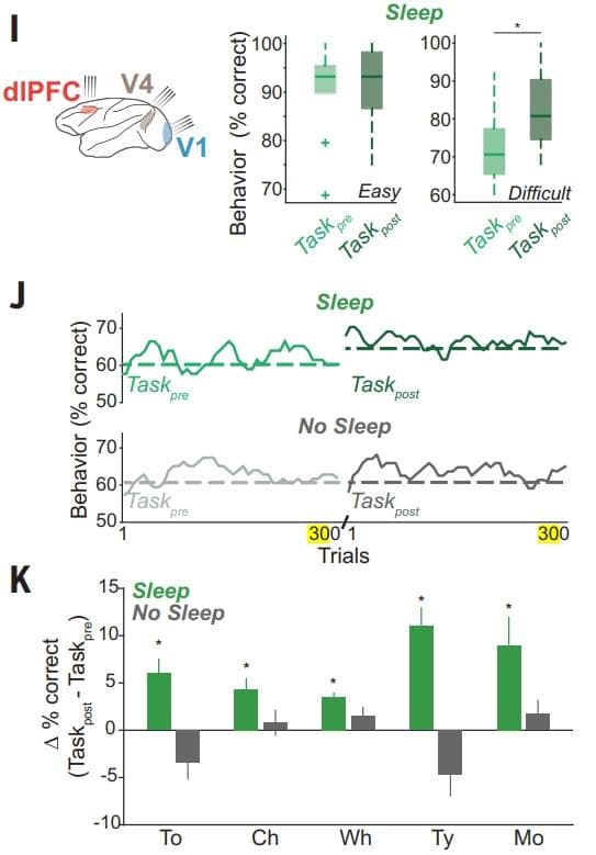 Science最新研究：30分钟午睡让大脑“重启”，认知能力大幅提升