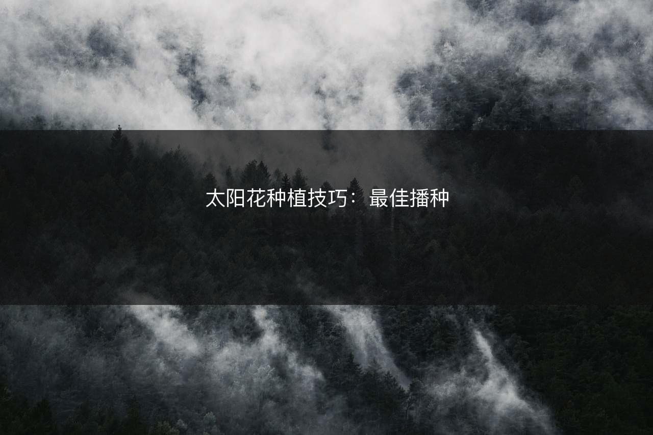 太阳花种植技巧：最佳播种月份和发芽时间