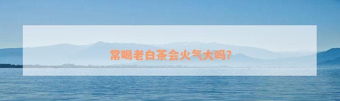 常喝老白茶会火气大吗？