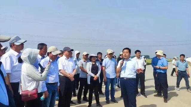 强化科技支撑 助推产业发展——中国农科院小麦产业专家团石家庄工作站揭牌