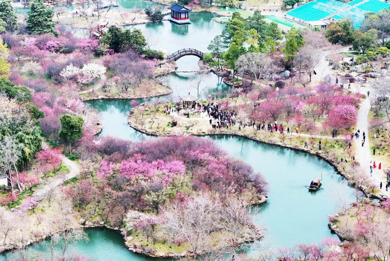 第三届“梅花艺术季”开幕 到瘦西湖赏湖上梅林