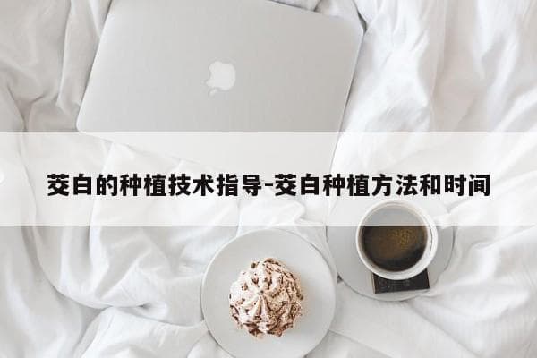 茭白的种植技术指导-茭白种植方法和时间
