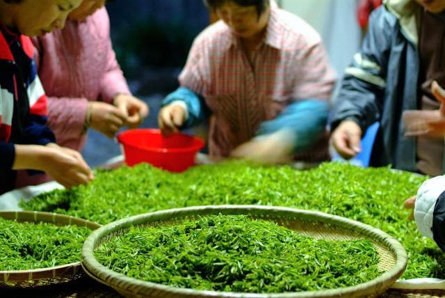 绿茶的制作工艺方法