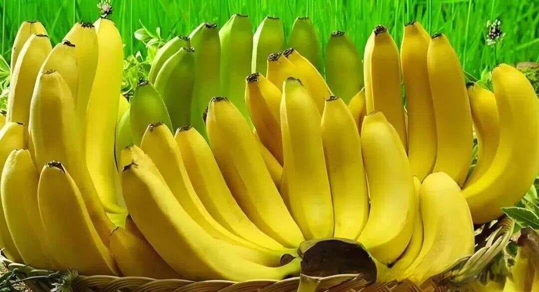 为什么有的人吃香蕉会胃痛？