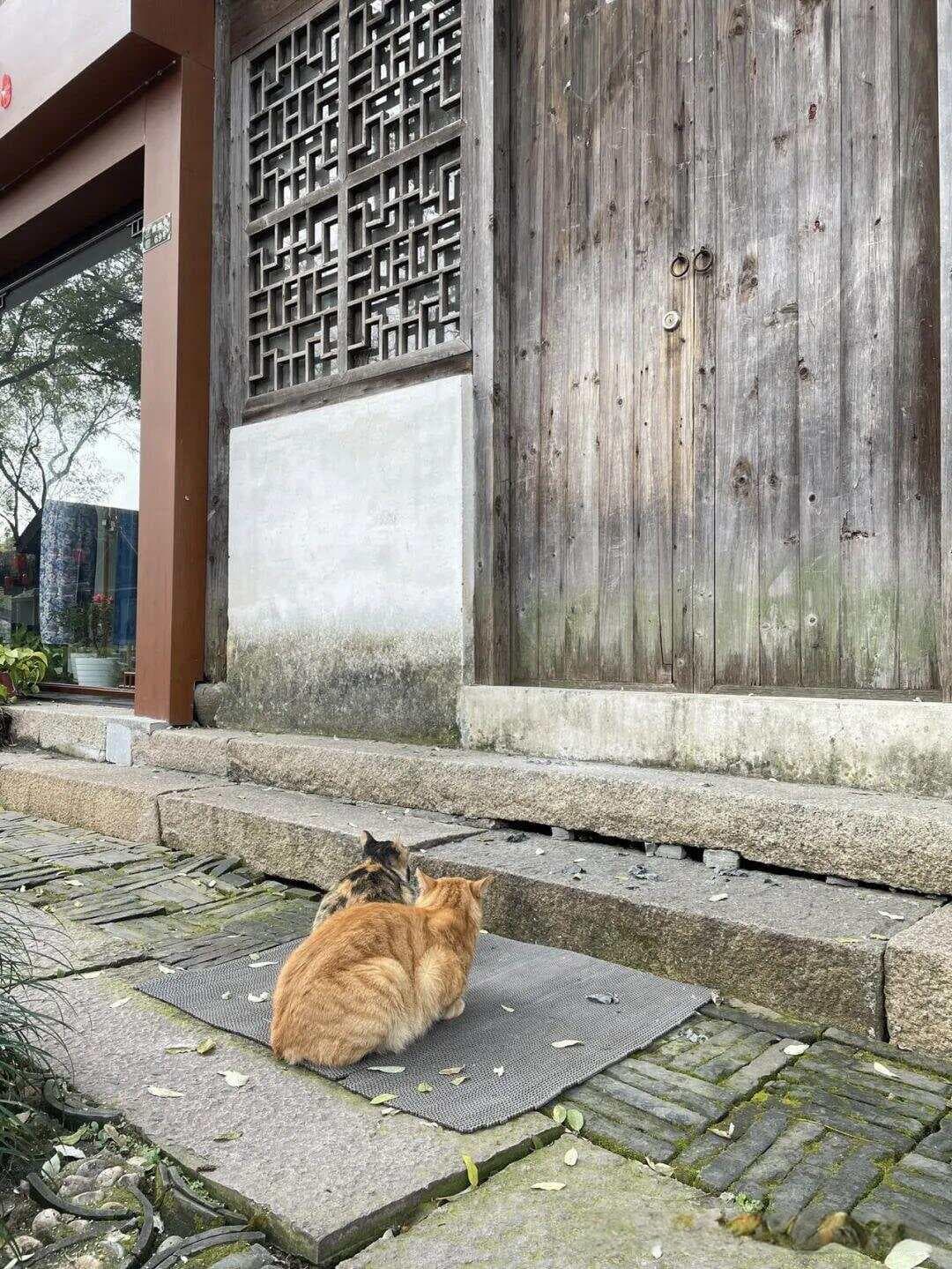 如何平衡文章深度与读者兴趣