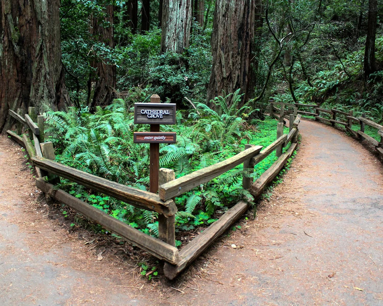 冬日高黎贡山徒步攻略：泡温泉看瀑布