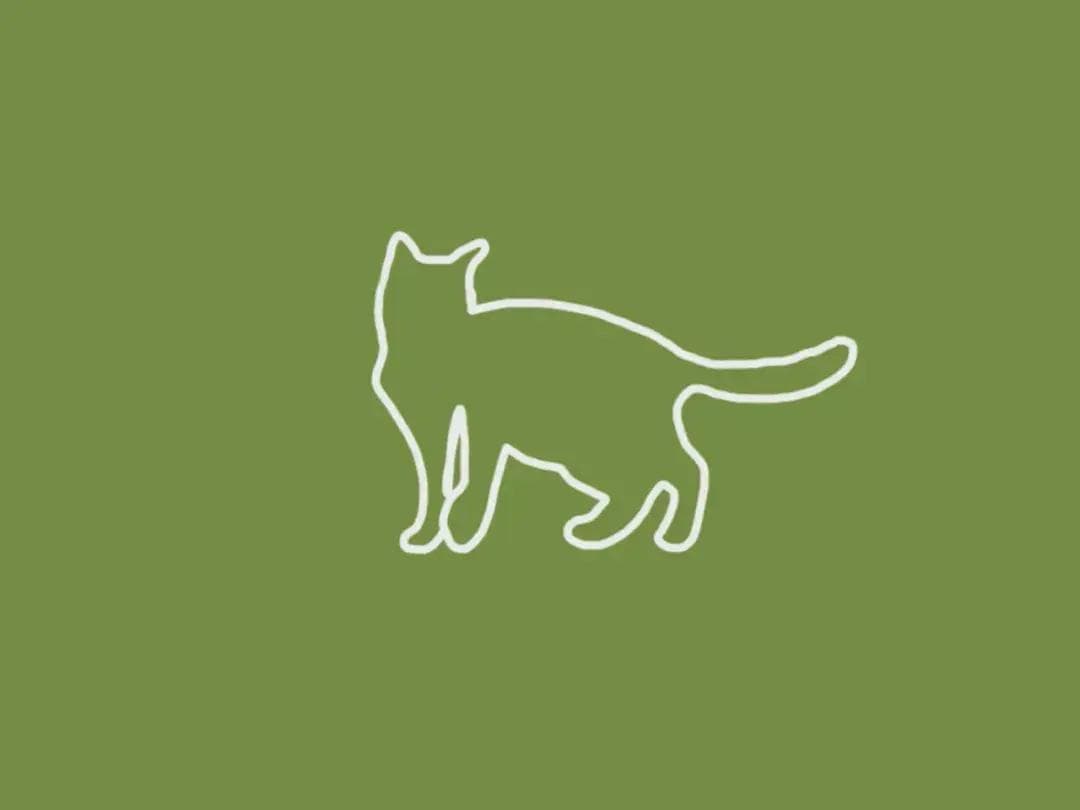 猫咪尾巴语言全解析：十种尾巴姿态解读猫咪情绪