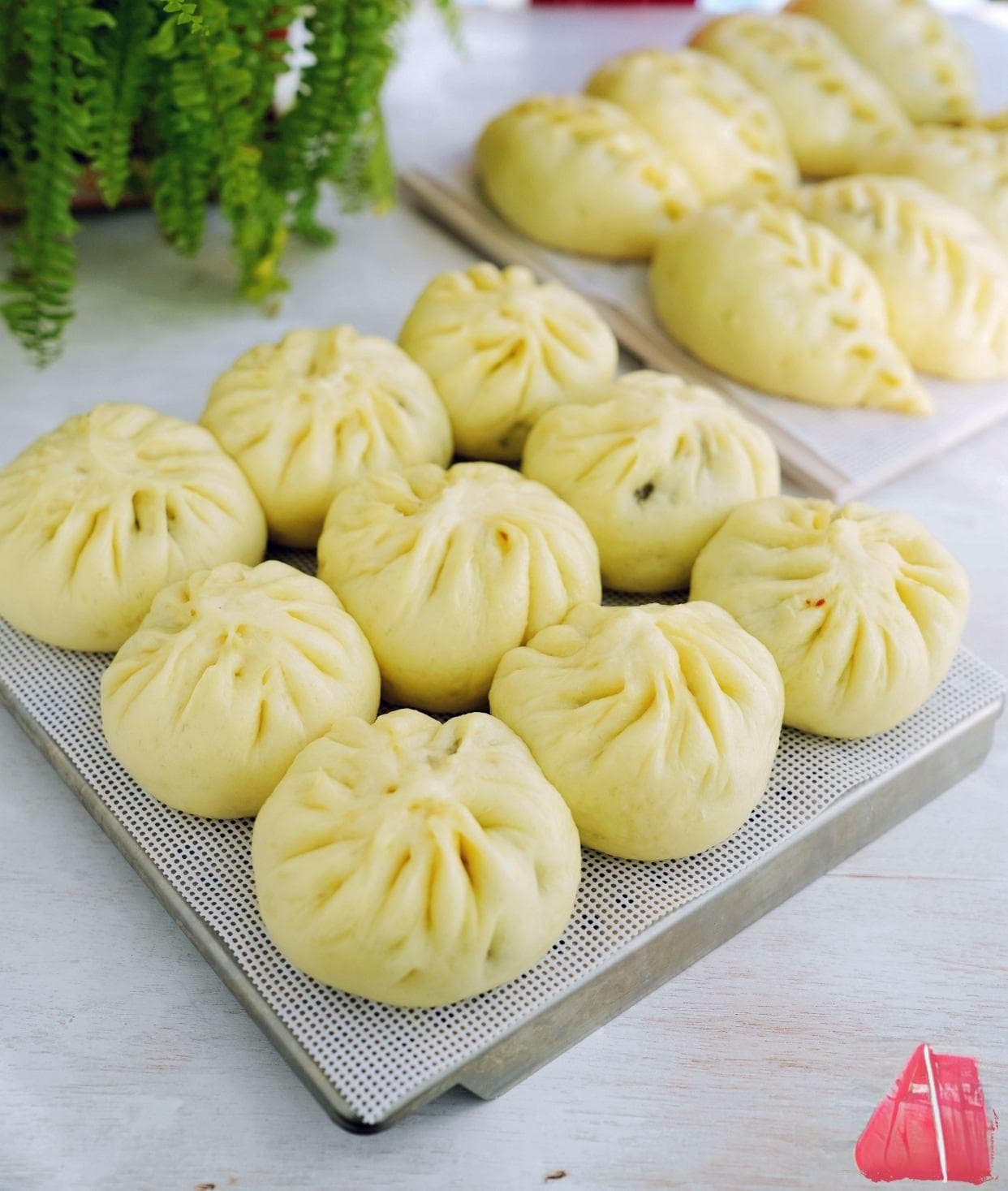 自发粉做包子的详细教程：梅干菜包子的完美制作方法