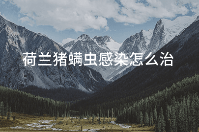 荷兰猪螨虫感染怎么治