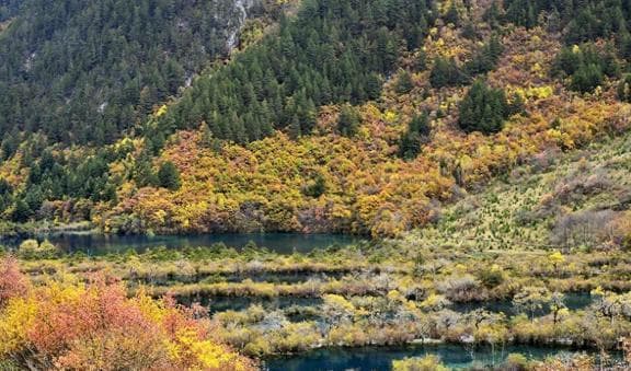 九寨沟旅游攻略，九寨沟30个景点介绍，一文搞懂九寨沟去哪儿玩？