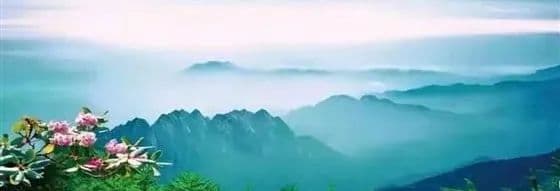 AI时代，从汉字中汲取生态智慧