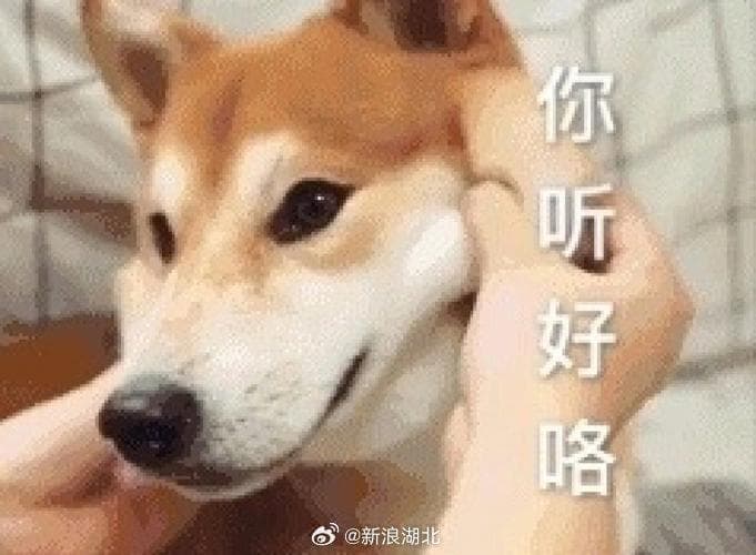 口才训练的16种方法