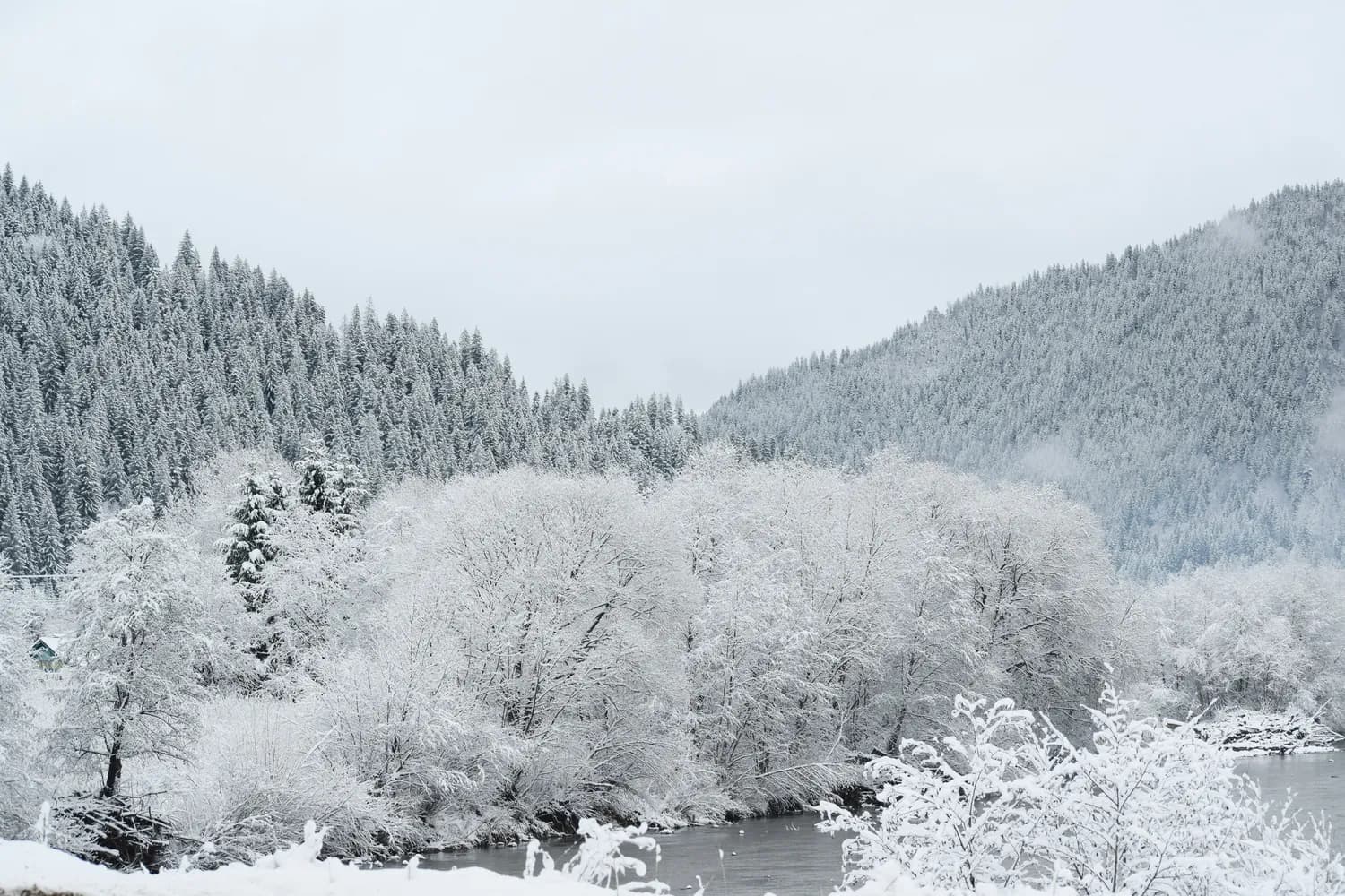 <沁园春·雪>里的雪景密码：三种淞景与冷流雪之谜