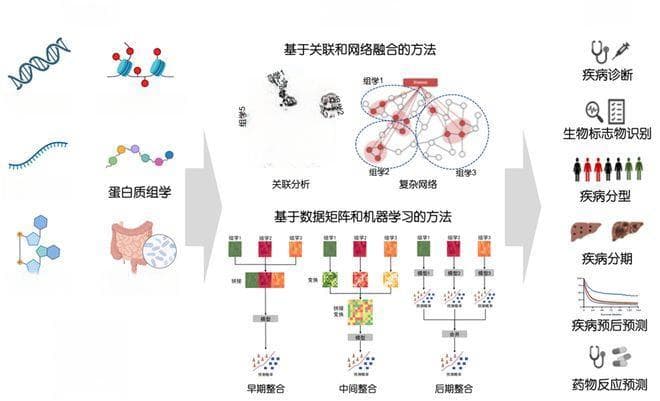 病机药理学中多组学技术的系统整合与应用深化