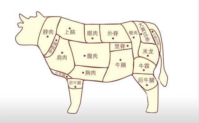 牛腩酥软、牛腱子有嚼劲、牛胸肉醇厚：炖牛肉部位全解析