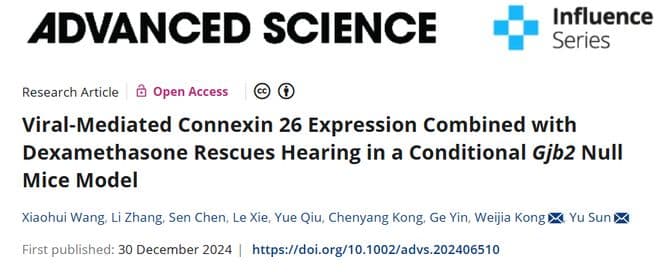 Adv Sci︱孙宇团队揭示GJB2缺陷相关耳聋基因治疗新策略