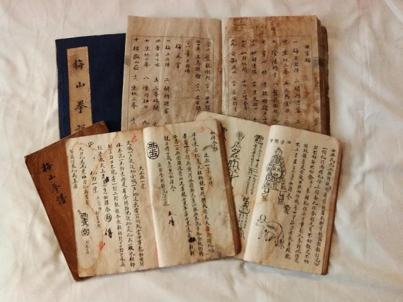 梅山武术：从蚩尤故里走向世界的“中国功夫”