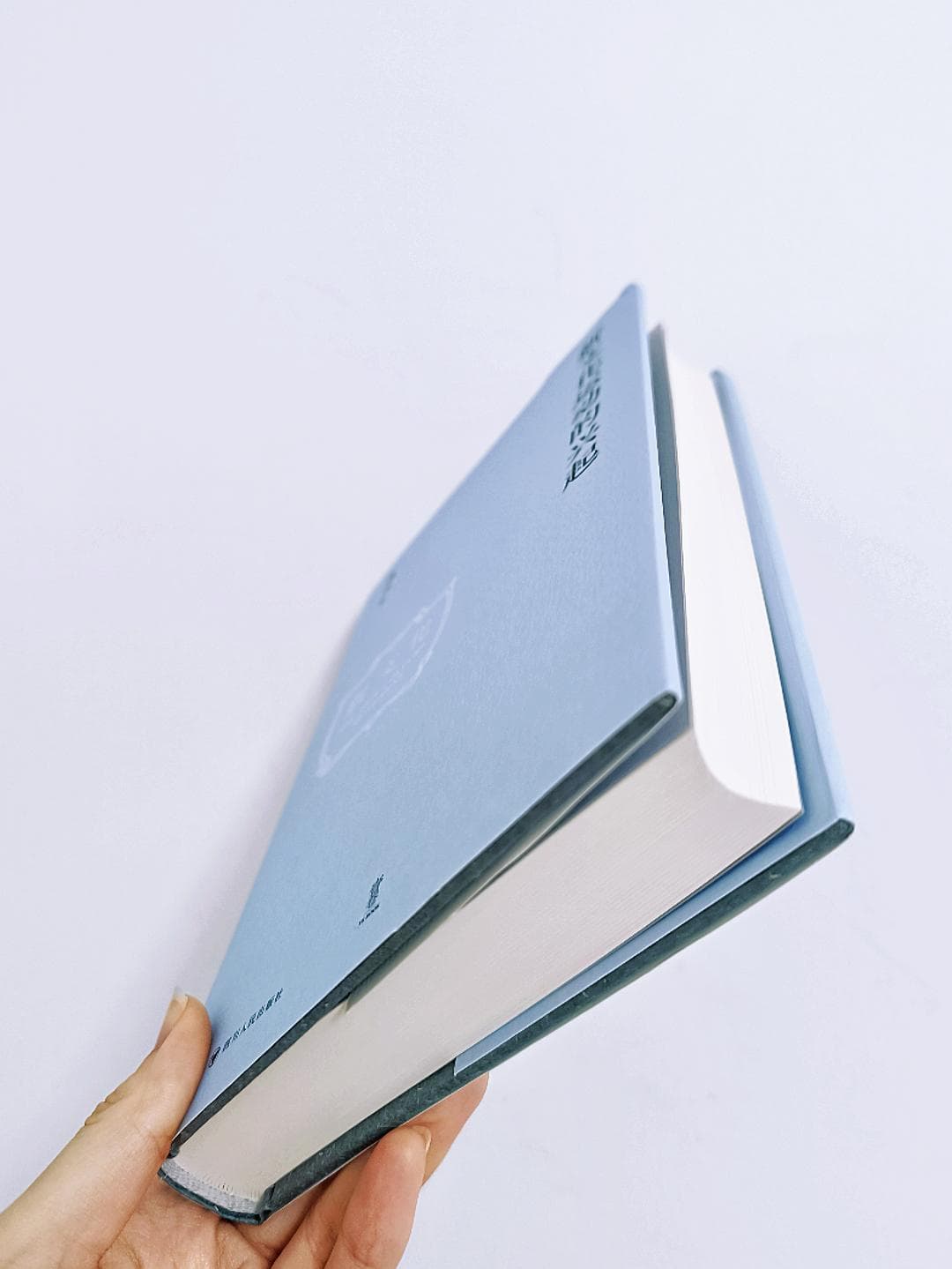《新文化运动的兴起》：一部全面还原历史细节的学术著作