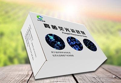 真菌荧光染色剂：临床诊断中的快速检测利器