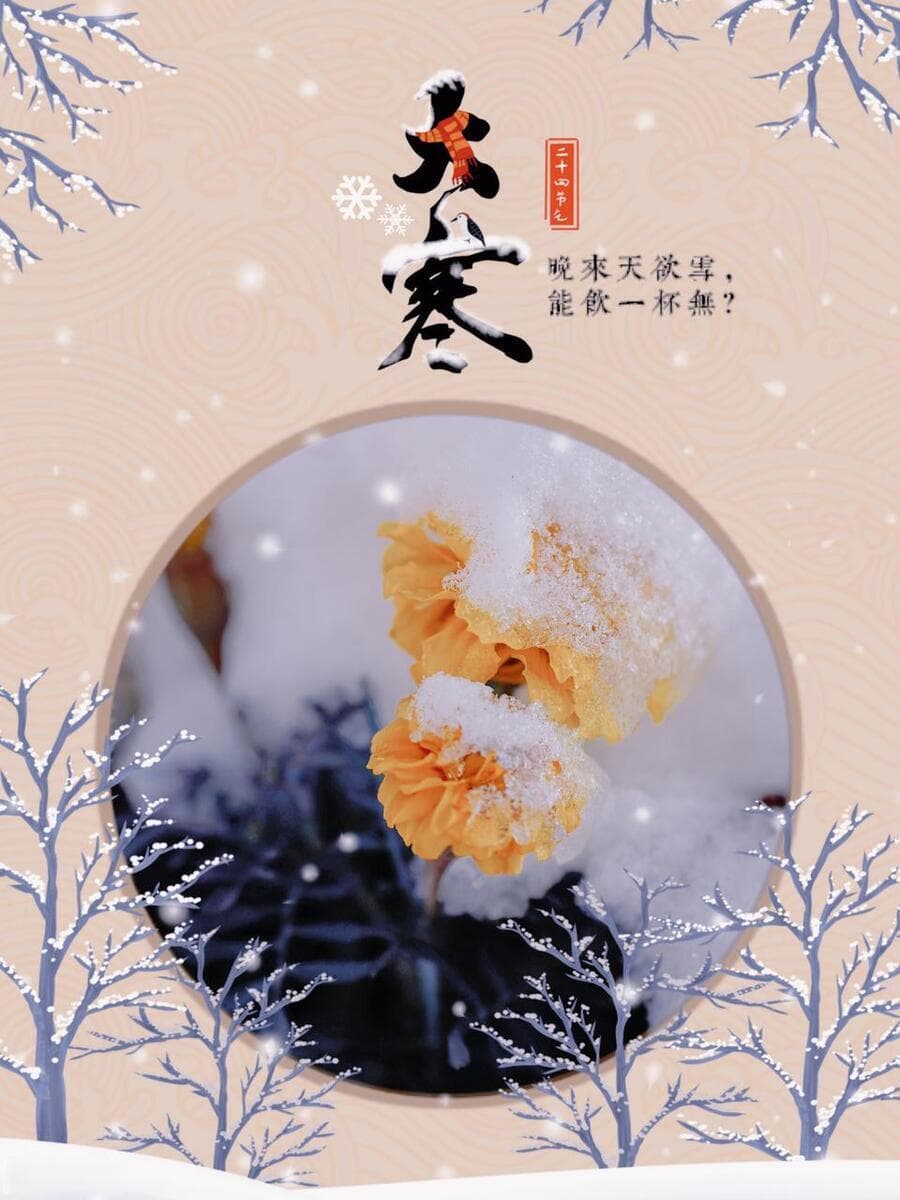 大寒节气：鸡始乳征鸟疾，古人智慧解读极寒时节