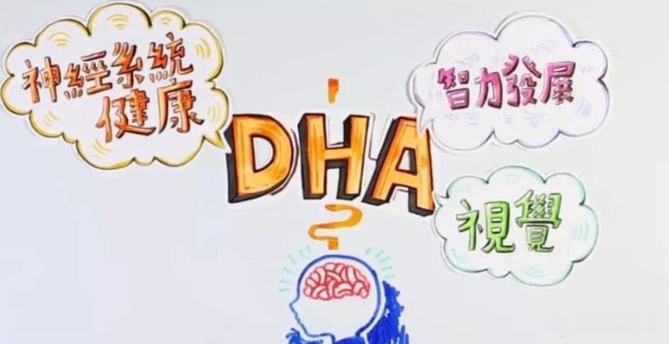 DHA又贵又养脑，这些常见食物就能补！孩子大人都需要