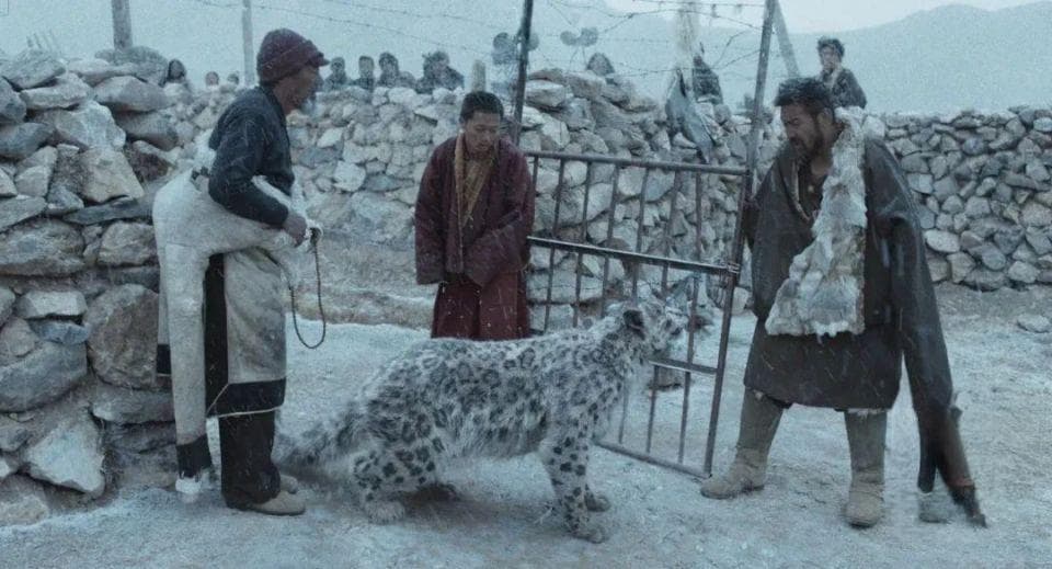 万玛才旦《雪豹》路演揭秘拍摄幕后，观众热议人与自然关系