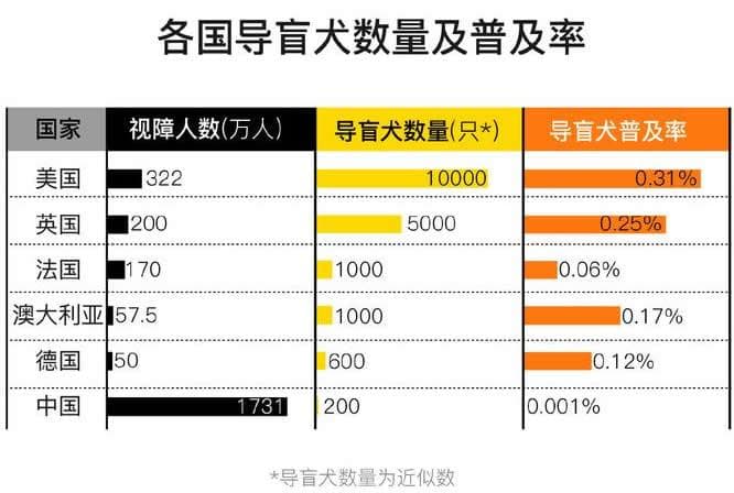 2024年导盲犬市场现状分析：导盲犬市场数量达17万只左右