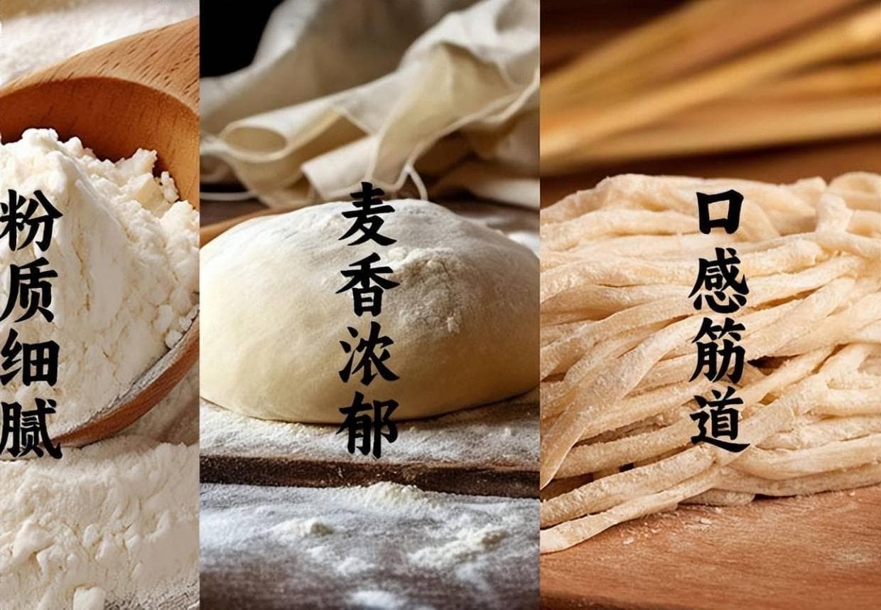 烘焙艺术：如何通过面粉的选择提升你的蛋糕品质