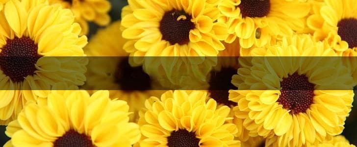 60句关于温暖的优美句子，感受生活的温度