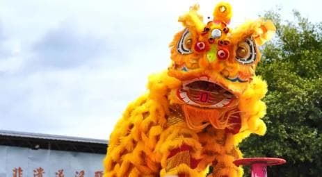 广东醒狮，好嘢！