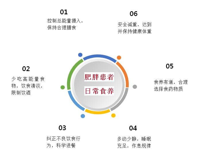 成人肥胖食养指南（2024 年版）