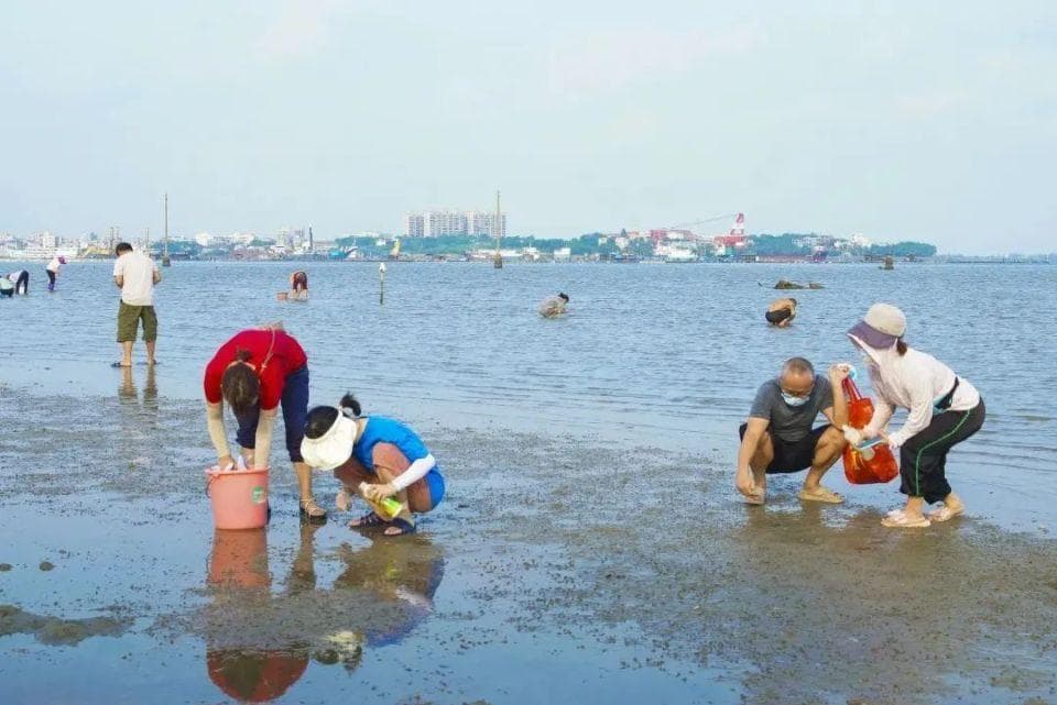 收藏安排！海口赶海超实用攻略就看这一篇！