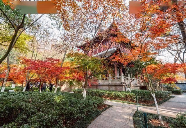 南京栖霞山：冬日里的绚烂画卷，四日游深度攻略