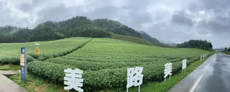杭州精准实施农业面源污染防治技术 助力千岛湖生态共富