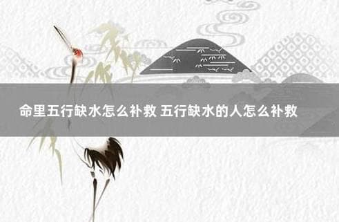 八字五行里的水代表什么意思 - 八字水多为什么还要补水