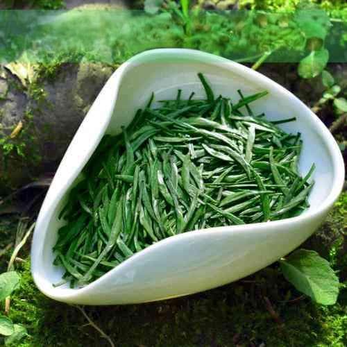 云南古树茶：功效、作用与禁忌全解析