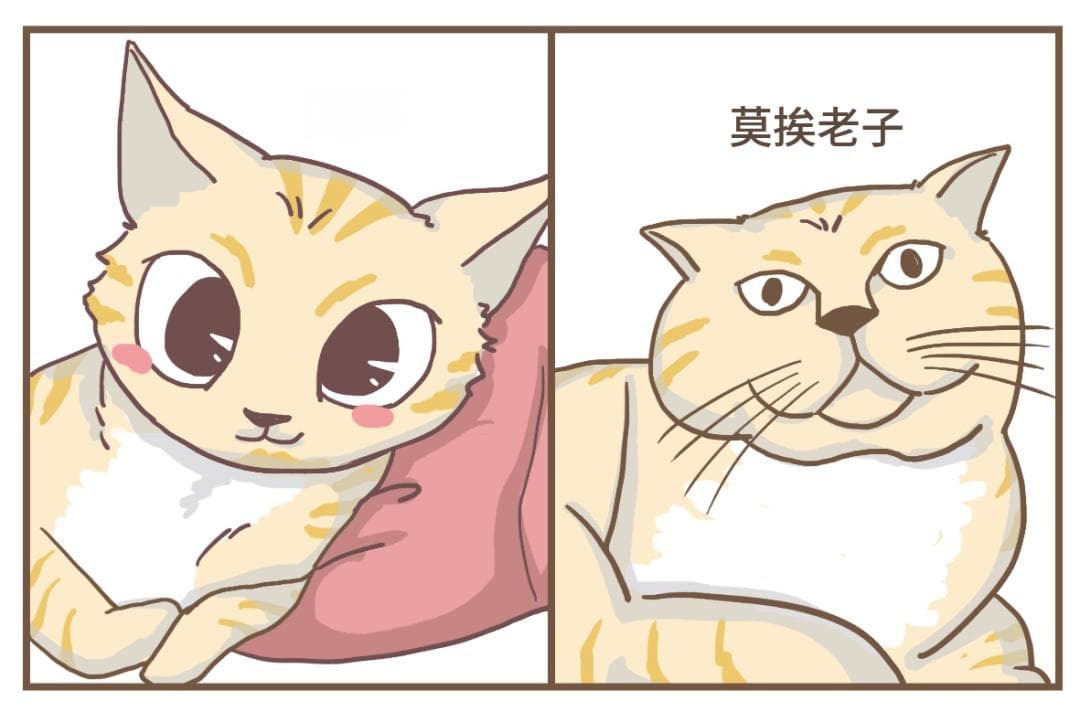 发腮，是一个人成熟的标志